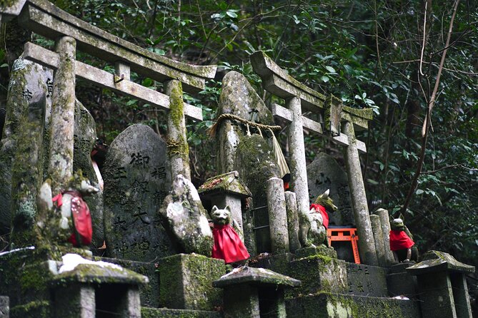 1-Day Kyoto and Nara Highlights Day Trip with a Private Car - Nara Park and the deer moments: fun, but mind the pace
