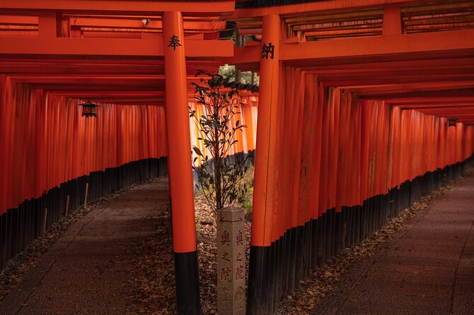 10 Must-see Spots in Kyoto One Day Private Tour (up to 7 people) - Togetsukyo Bridge and the Kimono Forest cylinder photo stop