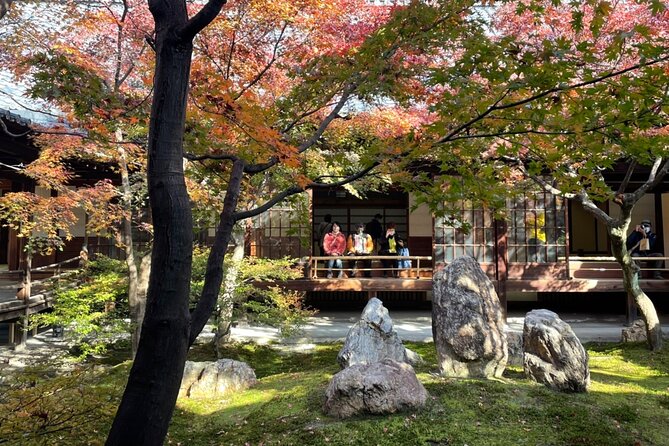 4.5-Hour Kyoto Bike Tour with Lunch and UNESCO Zen Temples - Should You Book This Kyoto Bike Tour?
