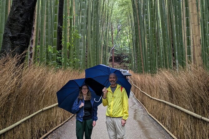 4 Hours Arashiyama and Arashiyama Monkey Park Tour - Tenryu-ji Temple: UNESCO Peace With a Guided Lens