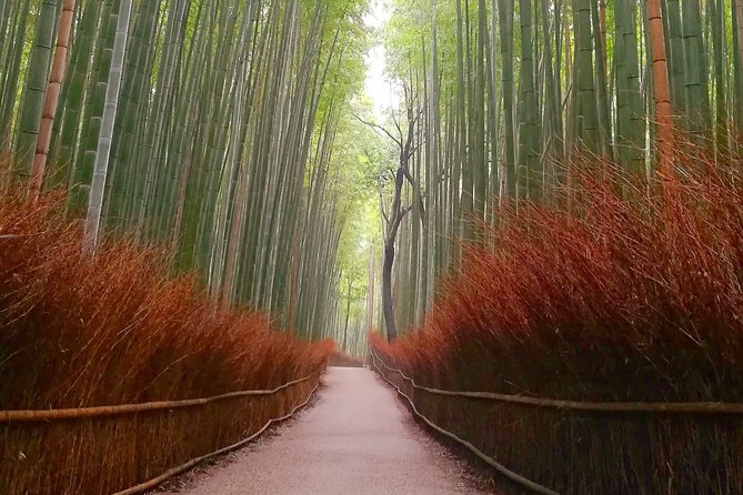 5 Top Highlights of Kyoto Full Day Bike Tour (E-bike option) - Stop 2: Fushimi Inari-Taisha and the Red Torii Tunnel