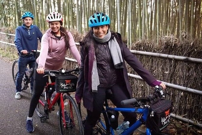5 Top Highlights of Kyoto Full Day Bike Tour (E-bike option) - Bike vs. E-bike: What Up to 27 Miles Means for You