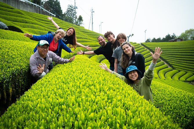 7hr Private Wazuka True Hidden Kyoto Matcha Farm Experience - Two farms, two viewpoints, one practical matcha education