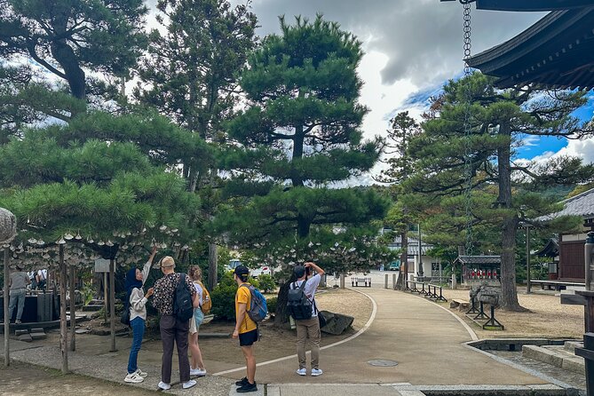All-Inclusive Kyoto Day Tour: Amanohashidate, Miyama or Ohara - Key Things to Know Before You Go