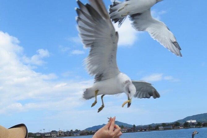 Amanohashidate & Miyama 1-Day Bus Tour: From Osaka/Kyoto w/ Lunch - Price and value: what your ¥100-ish day-trip budget is really buying