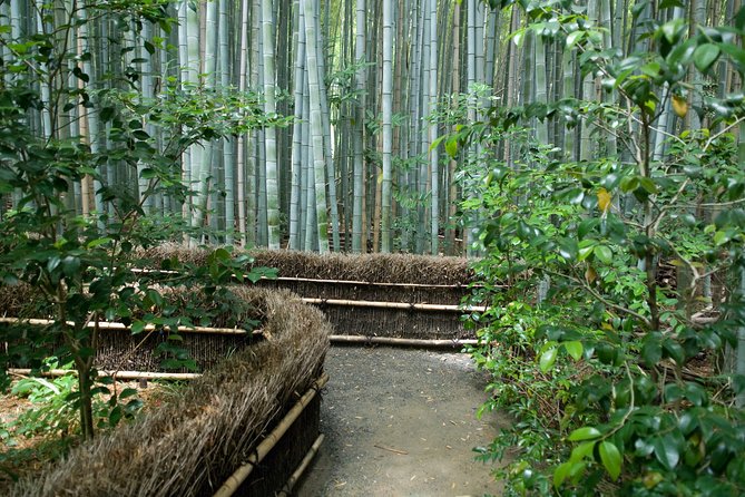Arashiyama Bamboo Forest E-Biking Tour - Why this Arashiyama e-bike tour feels different from the usual day