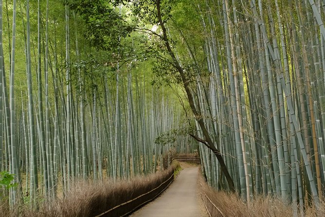 Arashiyama Bamboo Forest E-Biking Tour - The real fitness check: 25 km, hills, and shared roads