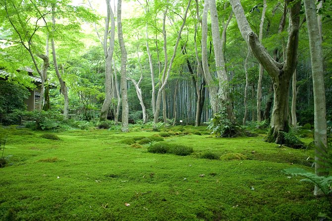 Arashiyama Bamboo Forest E-Biking Tour - Stop 1: Otagi Nenbutsu-ji Temple and the comedy of the laughing statues