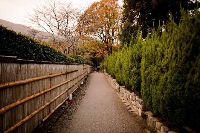 Arashiyama Bamboo Forest E-Biking Tour - Stop 3: the Bamboo Forest Trail—what to expect when the walking begins