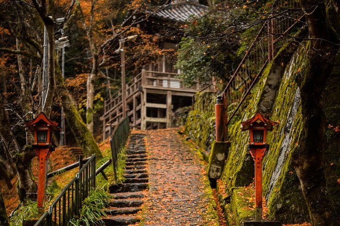 Arashiyama Bamboo Forest E-Biking Tour - The ride itself: how Kyoto changes tone between stops