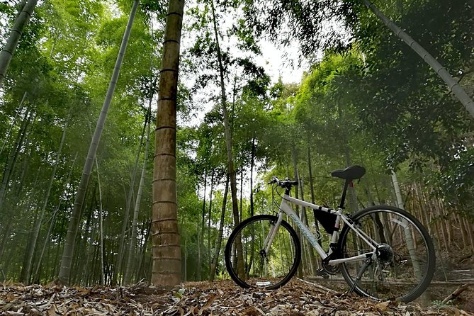 Arashiyama Bamboo Forest & Hidden Gems Bike Tour (Early Bird) - Stop 3: Cycling through Arashiyama backstreets and quieter temples (about 2 hours)