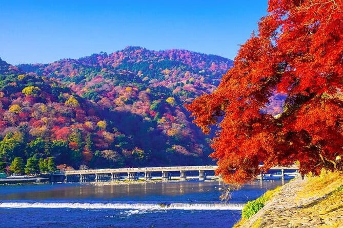 Arashiyama Bamboo & "Must See" Gardens with an Amazing Guide - Arashiyama timing: why order matters for bamboo and temples