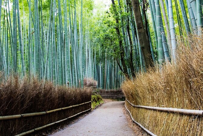 Arashiyama from Kyoto: Private & Personalized with a Local Guide - Otagi Nenbutsu-ji and its 1,200 rakan statues