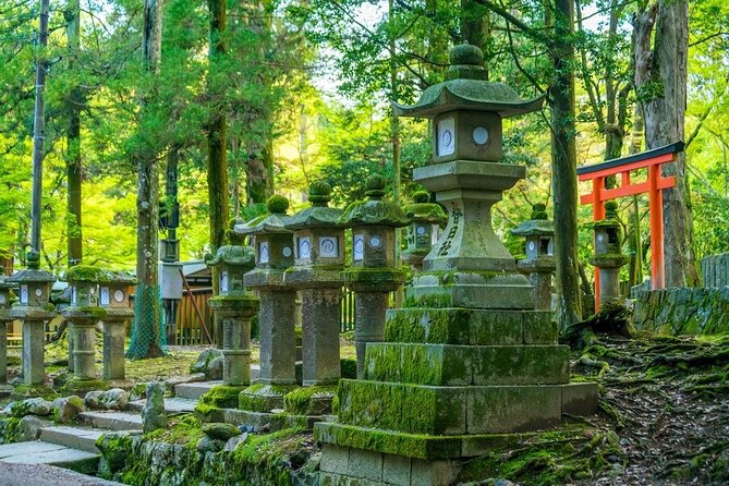 Arashiyama & Nara Highlights: One-Day Private Tour Adventure - Todaiji Temple and the Great Buddha Hall: The Main Scale Hit