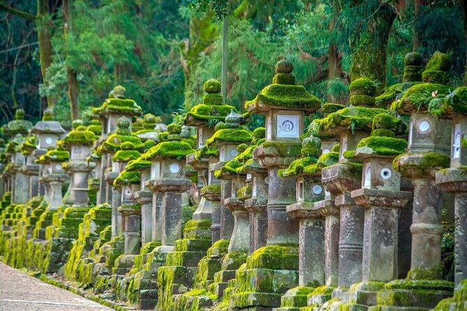 Arashiyama & Nara Highlights: One-Day Private Tour Adventure - Kasuga Grand Shrine: Lantern Atmosphere at Dusk-Adjacent Timing