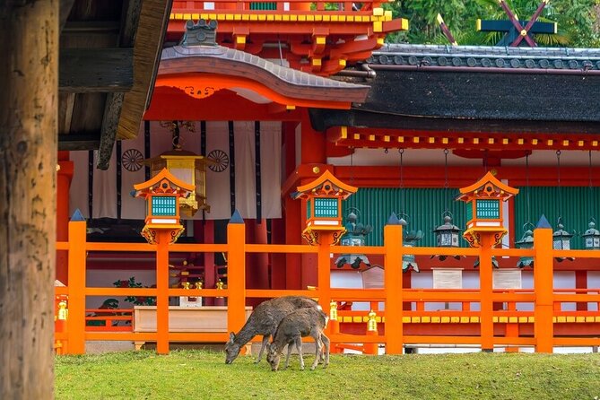 Arashiyama & Nara Highlights: One-Day Private Tour Adventure - Price and Logistics: What You’re Really Paying For