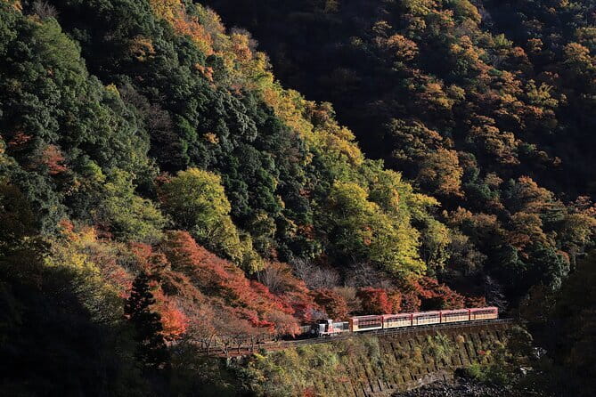 Arashiyama Walking Tour with Optional Sagano Romantic Train Ride - Key highlights worth your attention