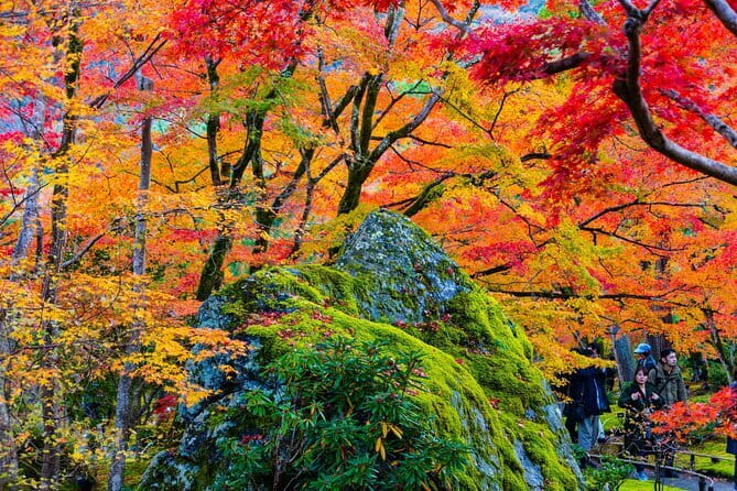 Arashiyama Walking Tour with Optional Sagano Romantic Train Ride - Optional Sagano Romantic Train: when it’s worth the extra cost