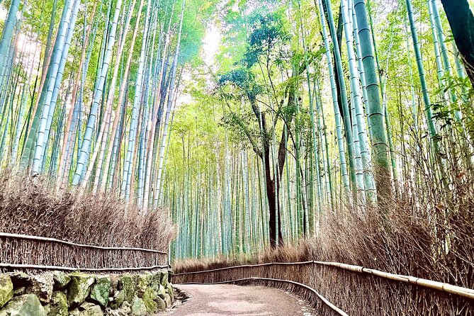 Bamboo Grove Temple and Garden Views Tour - Kyoto’s Arashiyama Nature Route (8:30 Start, ~5 Hours)