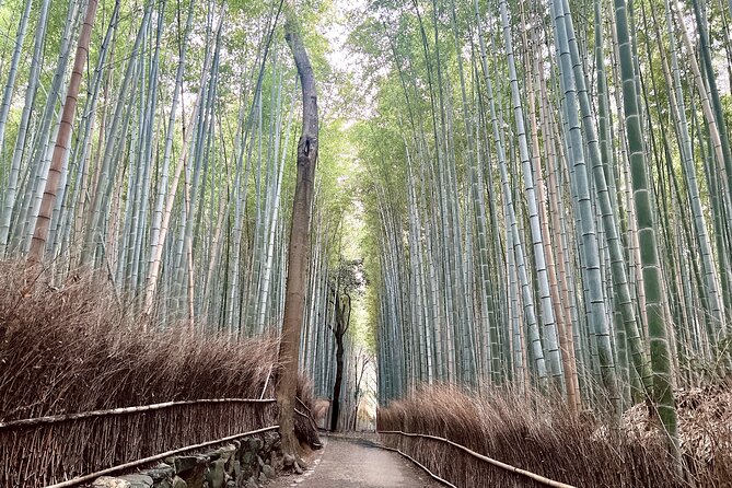 Bamboo Grove Temple and Garden Views Tour - Stop 3: Iwatayama Monkey Park and the 20-Minute Hike