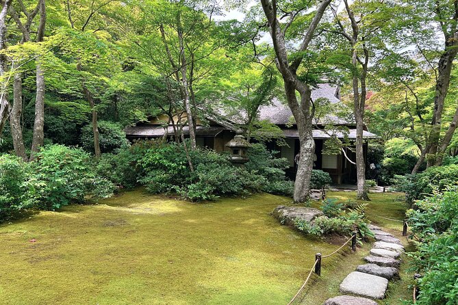 Bamboo Grove Temple and Garden Views Tour - Stop 5: The Arashiyama Bamboo Forest Stroll