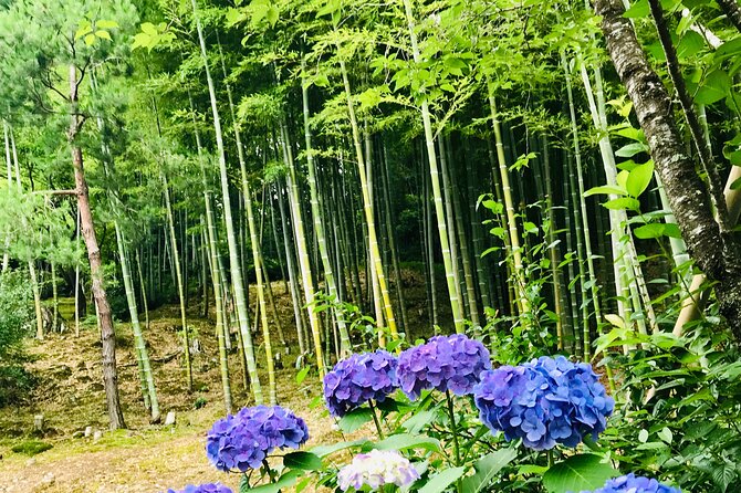 Bamboo LED Lantern Making Experience in Kyoto Arashiyama - How the Class Works: Patterns, Tools, and Safety at the Drill Press
