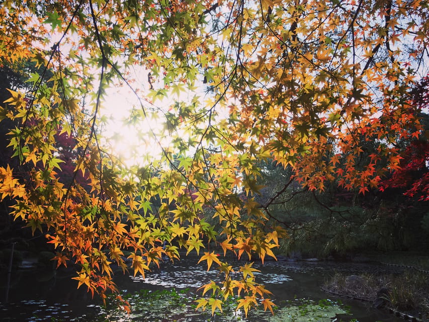 Best of Kyoto: Ginkakuji & Path of Philosophy E-Bike Tour - Key highlights you’ll feel fast