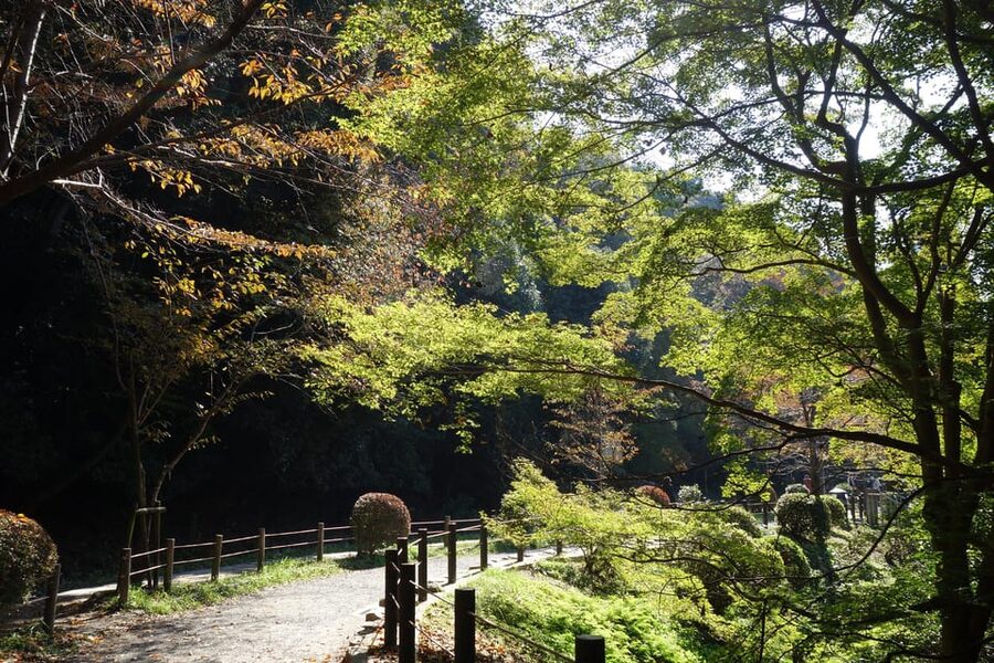 Best of Kyoto: Ginkakuji & Path of Philosophy E-Bike Tour - Wild West option: Arashiyama Bamboo Forest, Golden Pavilion, and Ryoanji