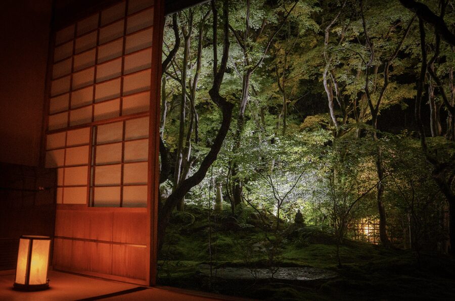 Candlelit Zen: Evening Meditation at Kyoto’s Secret Temple - Price and value for a group up to 9