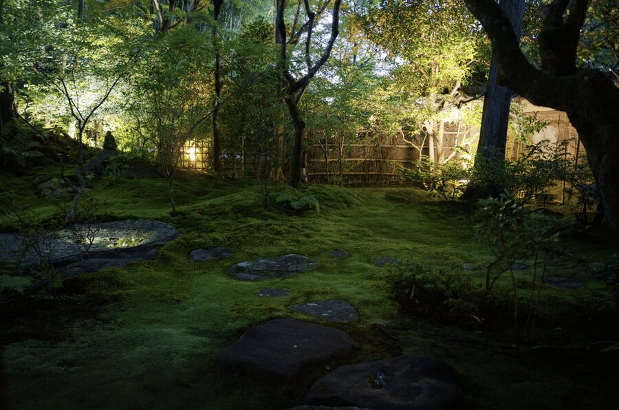 Candlelit Zen: Evening Meditation at Kyoto’s Secret Temple - Who should book this candlelit Kyoto Zen meditation (and who should skip it)?