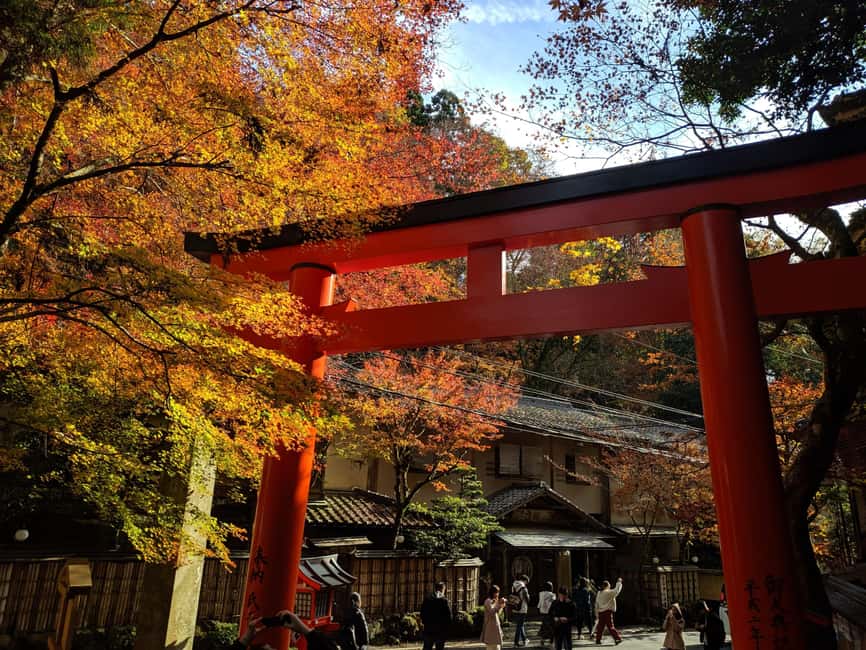 Craig's Kyoto Private Luxury Alphard Tour / The Early Riser - Price and value: $235 for a private morning that’s not mass-market
