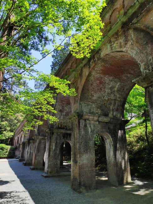 Craig's Kyoto Private Luxury Alphard Tour / The Early Riser - Should you book Craig’s Early Riser Kyoto private tour?