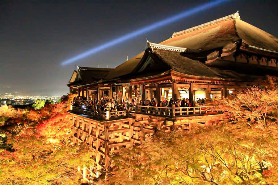 Customized Private Tour with a Local Guide - Price and What You’re Really Paying For