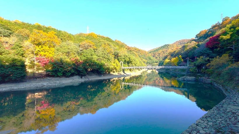 Cycling Tour at Uji's Matcha Green Tea Fields and Heritage - Key Highlights Worth Knowing
