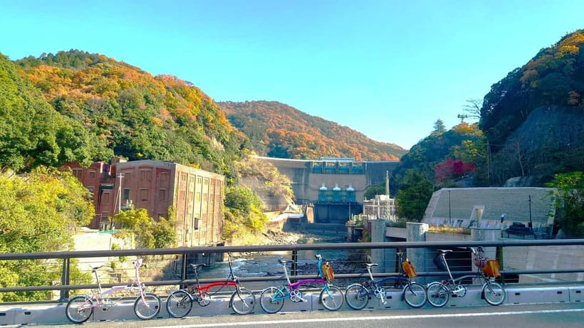 Cycling Tour at Uji's Matcha Green Tea Fields and Heritage - Shrines and temple moments: not rushed, not crowded