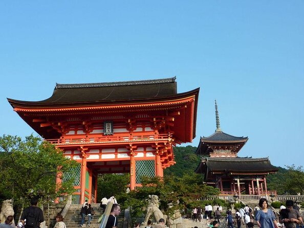 Dark Kyoto Tour - Key Points Before You Go