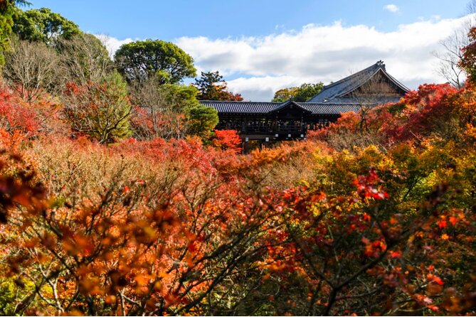 Early Bird E-biking through East Kyoto - Safety and traffic: how to enjoy without feeling tense