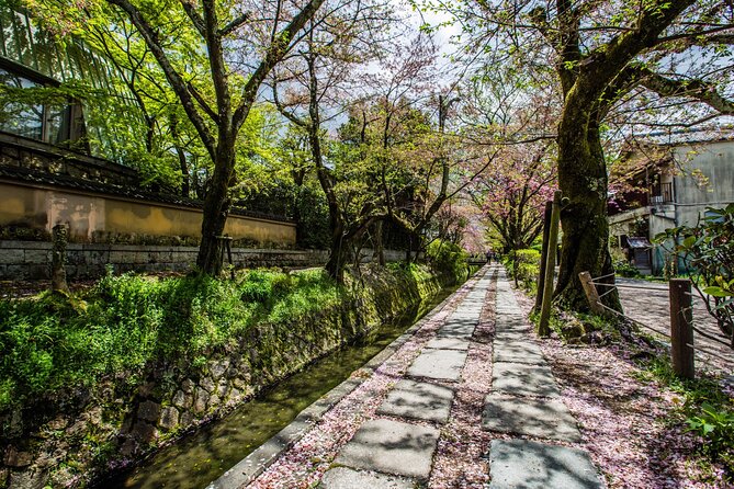 Early Bird E-biking through East Kyoto - Lunch and cafe breaks that keep you fueled