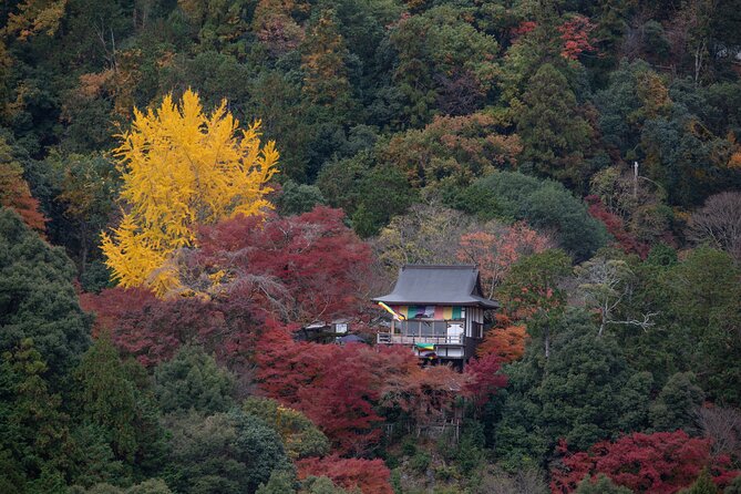 Explore Arashiyama Bamboo Forest with Authentic Zen Experience - Key Highlights You’ll Feel Right Away