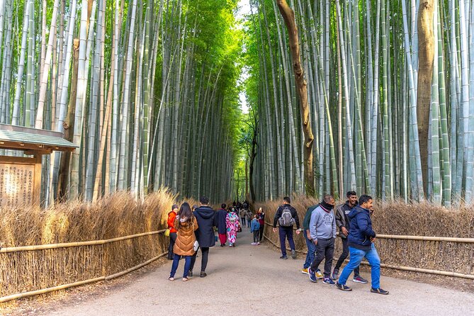 Explore Arashiyama Bamboo Forest with Authentic Zen Experience - Why Arashiyama Bamboo Forest Meets Zen Buddhism in One Plan