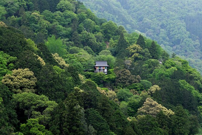 Explore Arashiyama Bamboo Forest with Authentic Zen Experience - Price and Value: Is $114 Fair for This Kyoto Mix?