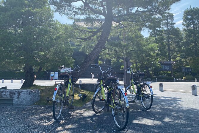 Explore Hidden Kyoto by E-Bike: Private, Scenic & Fun - Heian Jingu’s torii and Hanamikoji: a quick culture hit in Gion