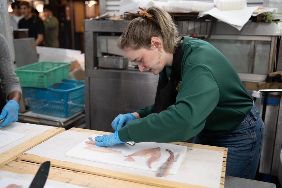 Fish cutting class - Should You Book This Kyoto Fish Cutting Class?