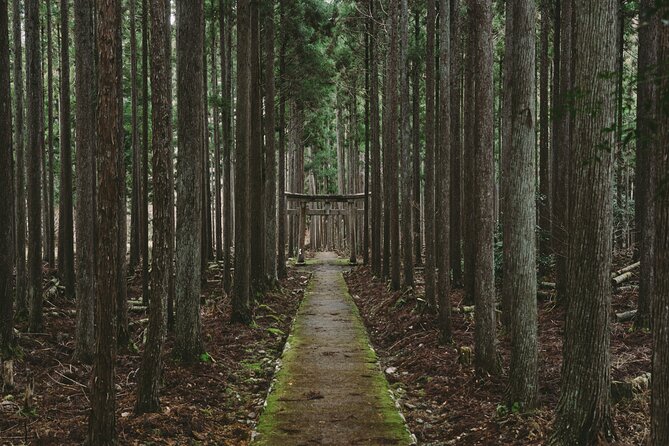From Bamboo to Hidden Shrines: Kyoto’s Private Escape Tour by Car - Quick hits before you go