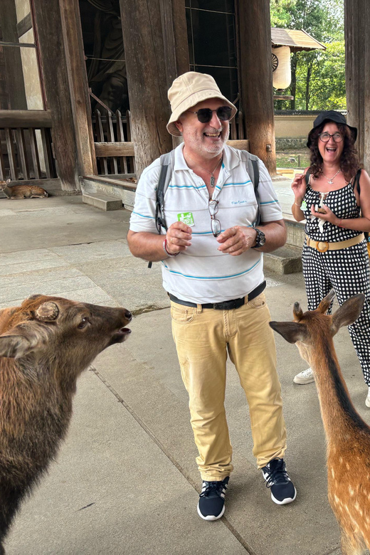 From Kyoto: Nara Guided Morning Tour - From Kyoto’s Avanti Meet-Up to Nara’s Morning Rhythm