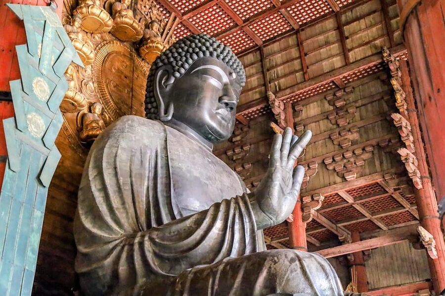 From Kyoto: Nara Guided Morning Tour - Kasuga Taisha: 40 Minutes Among the Lantern Paths