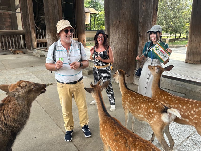 From Kyoto: Nara Guided Morning Tour - Todaiji Temple and the Great Buddha Hall: The Main Event