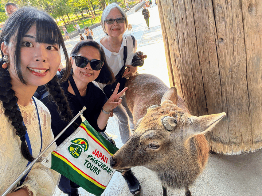 From Kyoto: Nara Guided Morning Tour - One-Way Logistics: Ending at Kintetsu Nara Station