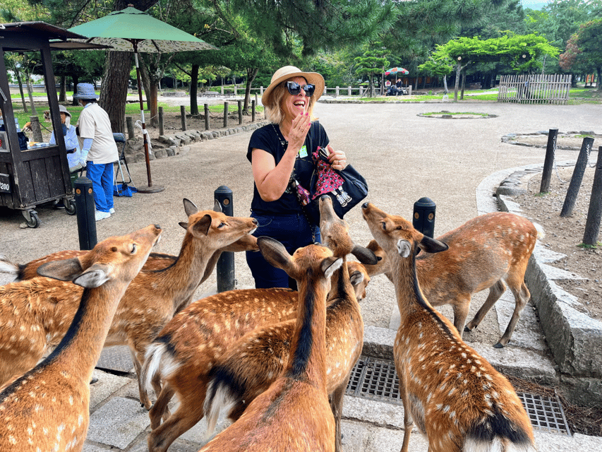From Kyoto: Nara Guided Morning Tour - Nara Park Deer Time: Cracker Etiquette That Actually Works