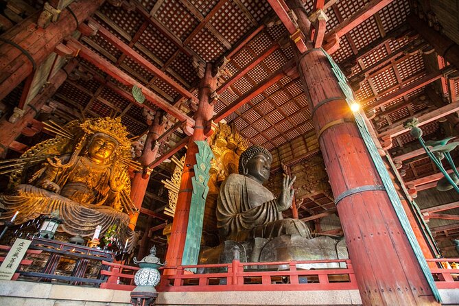 From Kyoto: Nara History Guided Half Day Bus Tour with Lunch - Kasuga Taisha guided visit: lanterns, worship etiquette, and what’s included